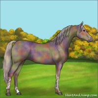 Horse Color:Nacre Silver Black Tobiano 