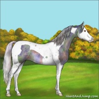 Horse Color:Nacre Silver Black Chinchilla Splash Tobiano