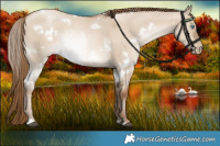 Horse Color:White Spotted Liver Red Dun Pearl 