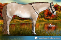 Horse Color:White Spotted Liver Red Dun Pearl Sabino 