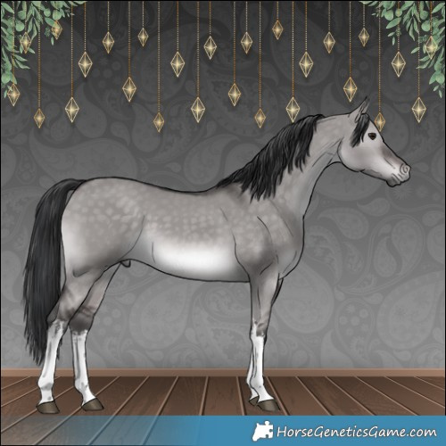 Horse Color:Platinum White Spotted Brown Dun 