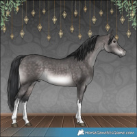 Horse Color:Platinum White Spotted Brown Dun 
