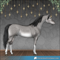 Horse Color:Platinum White Spotted Brown Dun