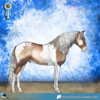 Horse Color:Liver Red Onyx Pearl Tobiano Rabicano