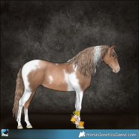 Horse Color:Liver Chestnut Pearl Tobiano 