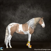 Horse Color:Liver Chestnut Pearl Splash Tobiano Rabicano 