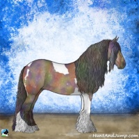 Horse Color:Nacre Brown Dun Tobiano Rabicano 