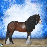 Horse Color:Brown Sabino 