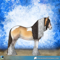 Horse Color:Buckskin Onyx Tobiano 
