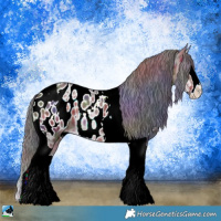 Horse Color:Nacre Plaid Brown Ice Splash Tobiano Appaloosa