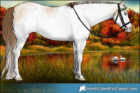 Horse Color:White Spotted Liver Red Dun Pearl