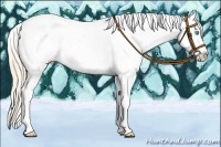 Horse Color:Smoky Creme Dun Tobiano Leopard Rabicano