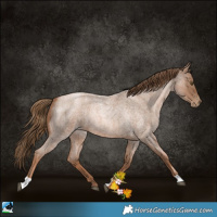 Horse Color:Liver Red Roan Pearl 