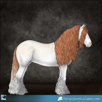 Horse Color:White Spotted Sable Champagne Ice Pearl Onyx Splash