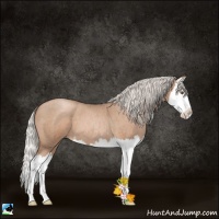 Horse Color:Silver Blue Roan Pearl Splash 