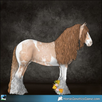 Horse Color:Bay Ice Pearl Splash Tobiano