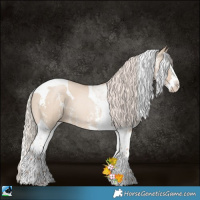 Horse Color:Silver Grullo Pearl Sabino Splash Tobiano 