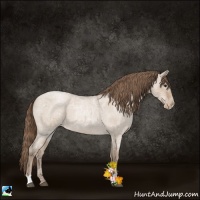 Horse Color:Grullo Ice Roan Pearl 