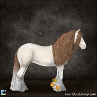 Horse Color:White Spotted Bay Ice Pearl Dun Splash 