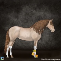 Horse Color:Liver Red Roan Pearl 