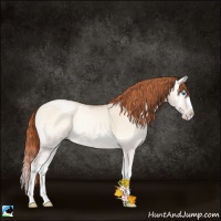 Horse Color:White Spotted Sable Champagne Ice Pearl Onyx Splash 