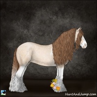 Horse Color:White Spotted Bay Ice Pearl Dun Splash 