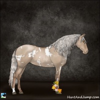 Horse Color:White Spotted Silver Grullo Roan Pearl 