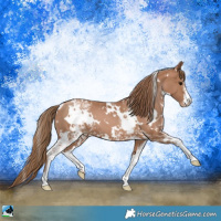 Horse Color:White Spotted Black Pearl 