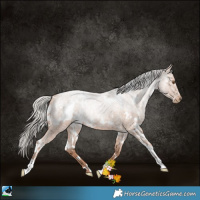 Horse Color:White Spotted Silver Blue Ice Roan Pearl 