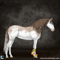 Horse Color:White Spotted Black Ice Pearl Splash Frame 