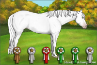 Horse Color:Gray Amber Cream Champagne Roan Tobiano Appaloosa Rabicano 