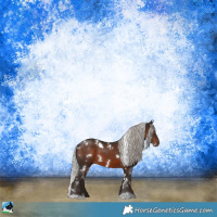 Horse Color:White Spotted Silver Brown