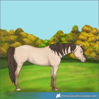 Horse Color:Amber Champagne Dun 