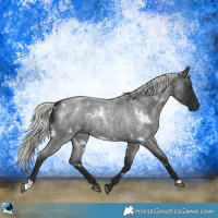 Horse Color:White Spotted Liver Red Roan Mushroom Rabicano 