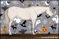 Horse Color:Smoky Creme Dun 