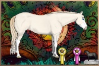Horse Color:Perlino Dun Splash 