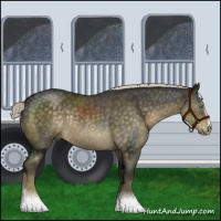 Horse Color:Chocolate Palomino Mushroom Sabino Rabicano