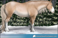 Horse Color:White Spotted Chocolate Palomino Pearl Rabicano 