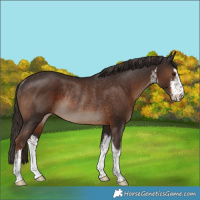 Horse Color:White Spotted Liver Chestnut Rabicano 