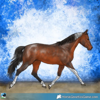 Horse Color:Brown Tobiano Rabicano 