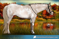 Horse Color:White Spotted Liver Red Roan Pearl Rabicano 