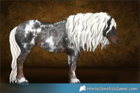 Horse Color:White Spotted Liver Chestnut Mushroom Rabicano 