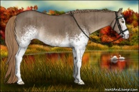 Horse Color:White Spotted Liver Red Dun Rabicano Brindle
