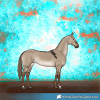 Horse Color:Liver Red Dun 