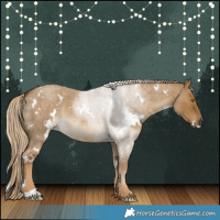 Horse Color:White Spotted Chocolate Palomino Roan Dun 