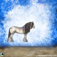 Horse Color:Nacre White Spotted Brown Ice Onyx Sabino Rabicano 