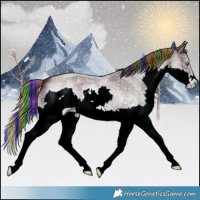 Horse Color:Painted Liver Red Roan Splash 