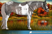 Horse Color:Platinum Liver Chestnut Sabino Tobiano 