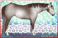Horse Color:Gray Chestnut Sabino 