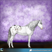 Horse Color:Blue Onyx Sabino Snowflake Varnish 